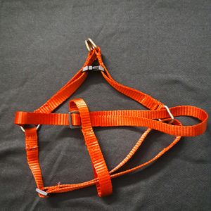 Small To Medium Size Dog Body Belt