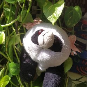 Cute Korean Panda 🐼 Toy