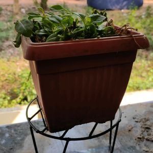 BRAND NEW FLOWER POT STAND