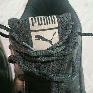 Puma Shoe