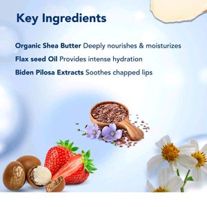 The Moms Co Natural Lip Balm Fruit WithCocoa