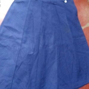 School Dress Skirt