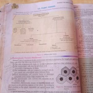 Science Book ( Physics And Biology)