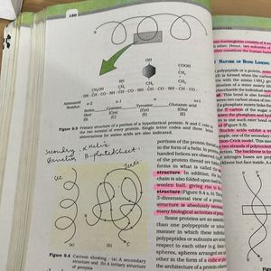 NCERT Class XI Biology textbook