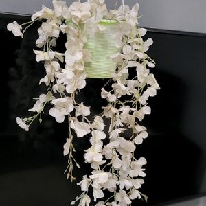 Set 2 Hanging White Flower & FlowerPot