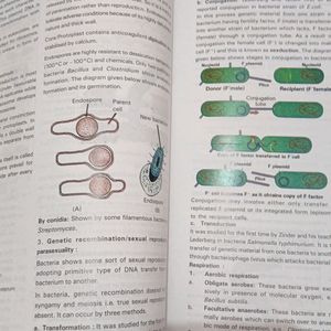 Botany XI Volume-1 (Helix Study Material)