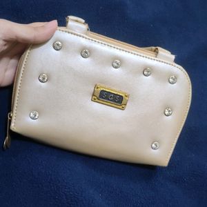 Bag Clutch/Purse