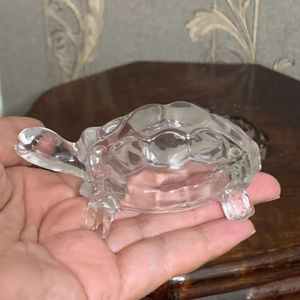 Crystal Tortoise 🐢