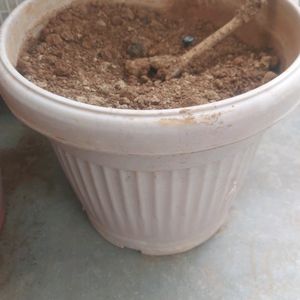 Pot With Soil And Composed