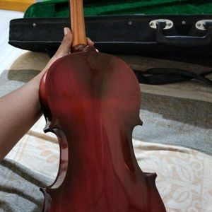 Violin