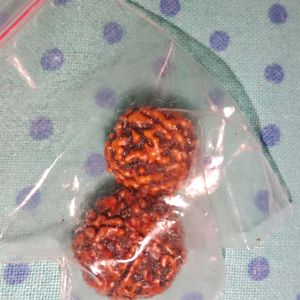 Two Original Rudraksha For Women And Men Both