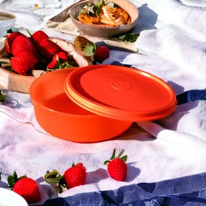 Tupperware GIRLS DAY OUT LUNCH SET