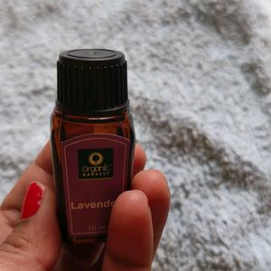 Organic Harvest Lavendar Essential Oil