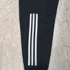 Adidas Gym Wear