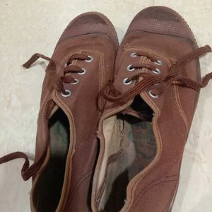 Brown Canvas Shoes 6no