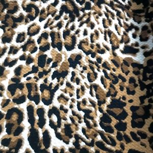 Leopard Print 🐆 Top
