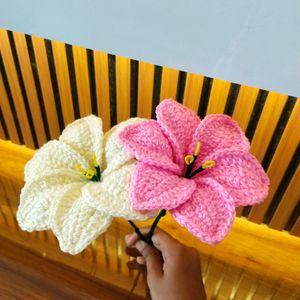 Coloured Crochet Lilly 🤌💗