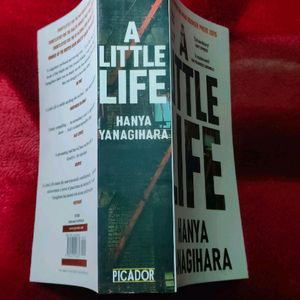 A Little Life Hanya Yanagihara