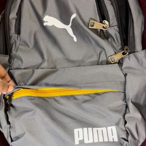 Pumaback New- Tag Missing