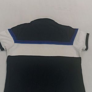 Men's Polo T Shirt