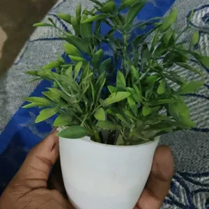 Artificial Plant 1 Pcs