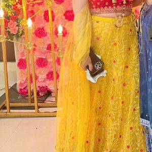 Pink & Yellow Net Lehenga