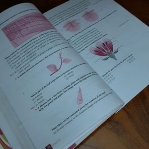 XamIdea Science Textbook For Class 6