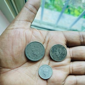 Tiger Rupee Set of 3 coins