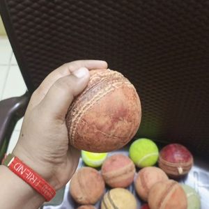 Sg Cricket Ball