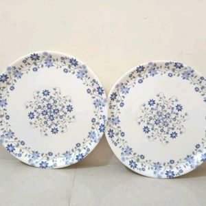 Melamine Ware 2 Dinner Plates