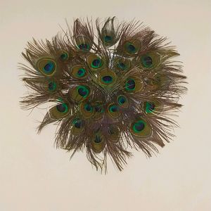 Wall Decorating Peace With Peacock Feather