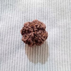 Original 4 mukhi rudraksha📿