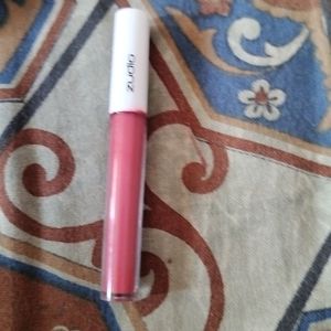 Dusty Rose Zudio Plump Lipstick