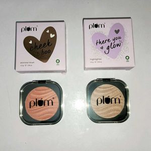 Plum Shimmer Blushers & Highlighter