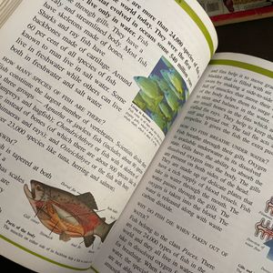 Children’s World Encyclopaedia