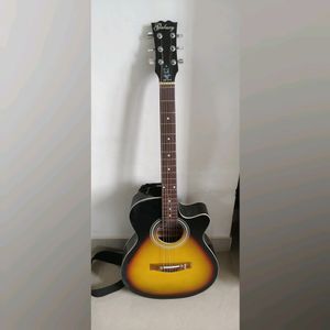 Brand New Indian Guitar With It's Bag