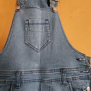 Denim Jumpsuit / Overall