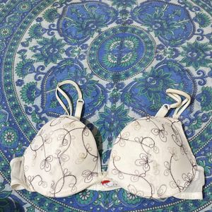 Net Embroidery Bra