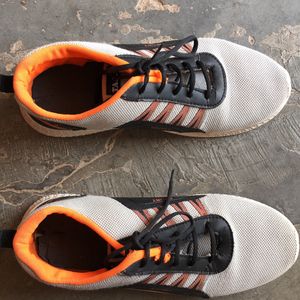 Multi Colour Sports Shoe For Men