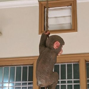 PolyResin Hanging Climbing Monkey with Jute Rope