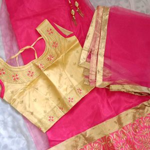 Lehenga 💗 Choli