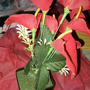 Artificial Anthurium Red Flower With Pot