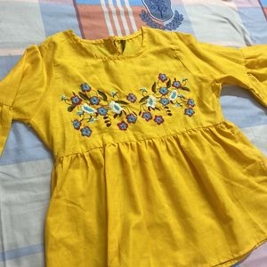 Embroidered Beautiful Top