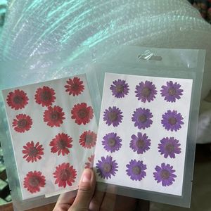 Pressed Daisy Sheets (new)