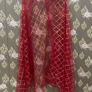 Net Sippi Work Dupatta