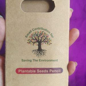 5 Plantable Seeds Pencils