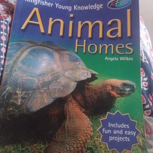 Animal Homes