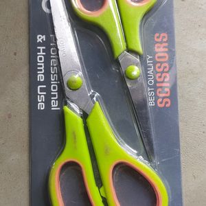 Stainless Steel Multi Purpose Scissors (Set Of 2)