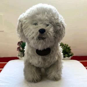 Dog Soft Toy