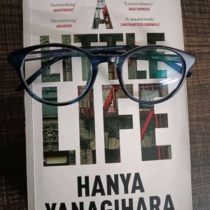 A Little Life By Hanya Yanagihara 💔